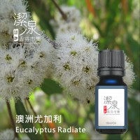 澳洲尤加利Eucalyptus Radiata oil-100ml
