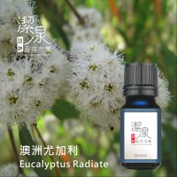 澳洲尤加利Eucalyptus Radiata-100ml