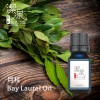 月桂 Bay Laurel Oil-100ml