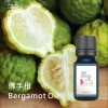 佛手柑  Bergamot oil-100ml