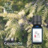 白千層Cajeput oil-100ml