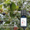 白樟樹Camphor oil white-100ml