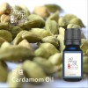 豆蔻Cardamom oil-100ml
