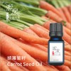 胡羅蔔籽Carrot Seed oil-100ml