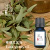 檸檬尤加利 Lemon Eucalyptus oil-100ml