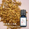 甜茴香(小茴香) Sweet Fennel oil-100ml