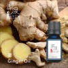 薑 Ginger oil-100