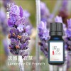 法國薰衣草Lavender oil French-100ml