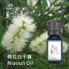 綠花白千層Niaoula oil-100ml