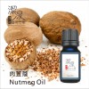 肉荳蔻Nutmeg oil-100ml