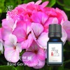 玫瑰天竺葵Rose Geranium oil -100ml