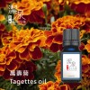 萬壽菊Tagettes oil-100ml