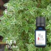 百里香(白)Thyme-100ml