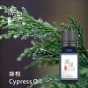 絲柏Cypress oil-10ml