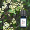 山雞椒/山蒼子Litsea Cubeba oil-10ml