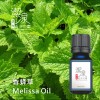 香蜂草Melissa oil-10ml