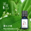 羅文沙葉Ravensara oil-10ml