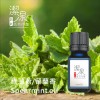 綠薄荷/留蘭香Spearmint oil-10ml