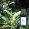 茶樹Tea tree-10ml