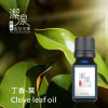 丁香[葉]Clove leaf oil-10ml