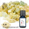 乳香 Frankincense oil-50ml