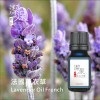 法國薰衣草Lavender oil Frensh-50ml