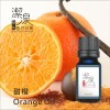 甜橙Orange oil-50ml